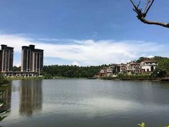 -松山湖南湖湾露营营地