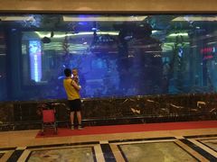 -碧桂园凤凰城酒店(南京店)