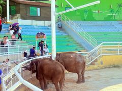 -大连森林动物园