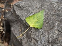 -井塘古村