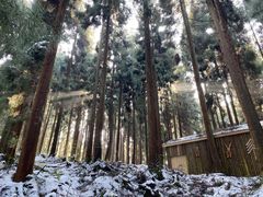 -龙苍沟森林公园