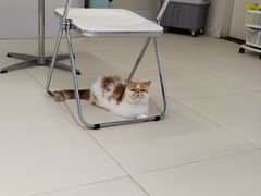 -怪兽屋·羊驼·猫咖·狗咖(俊华广场店)