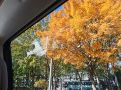 -金湖港式餐厅(建外店)