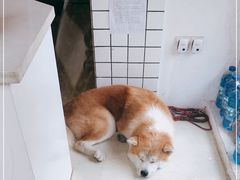 -餐酒吧Com-ing Bar(上海路店)