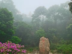 -梧桐山风景名胜区