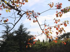 -白塘生态植物园