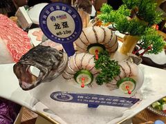 龙趸-尚海豆捞(乐虹坊店)