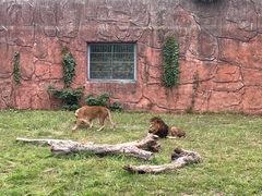 -无锡动物园·太湖欢乐园