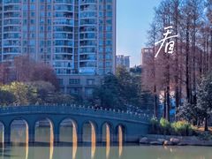 -四海公园(南山区)