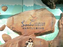 -杭州开元森泊度假乐园