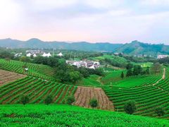 -帐篷客·溪龙茶谷度假酒店