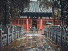 -关林