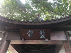 -重庆彩云湖湿地公园