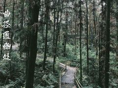 -象山森林公园