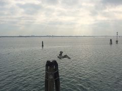 -大运河
