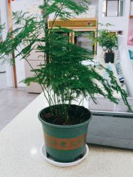 -痘院长·祛痘·科技美肤