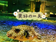 -趣陶陶艺手工坊(新世界百货重庆店)