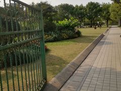 -新江湾城公园