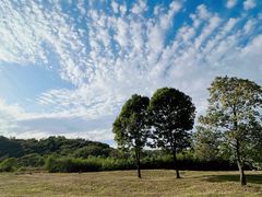 -黄椅山火山森林公园