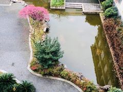 -太湖湾开元名庭大酒店