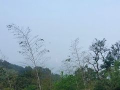 -紫金山山顶公园