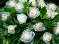 android_upload_pic-盛世荣兰花艺