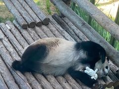 -大连森林动物园