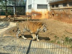 -昆明动物园