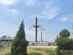 -凤凰欢乐大世界