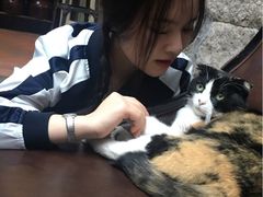-杨桃院子咖啡吧(中华红墨店)