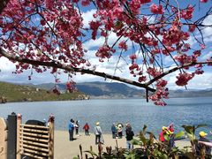 -丽江泸沽湖景区