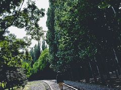-将府公园