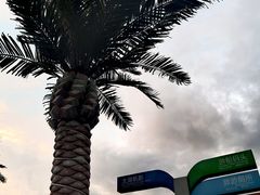 -湖州太湖旅游度假区-月亮广场