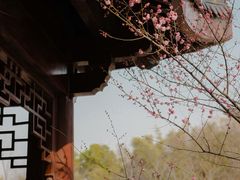 -堤角公园