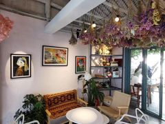 -喵屿·大理花园猫咖