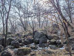 -阳台山自然风景区