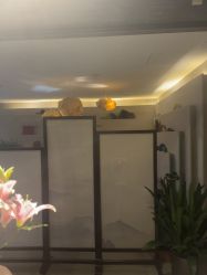 点击看大图 -iSpa