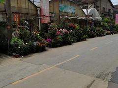 -金陵花卉交易市场