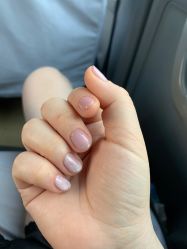-BELLAREAL新美社