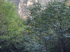 -孤山寨风景区