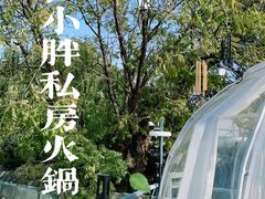 -四喜小胖·北京涮肉(五道营店)