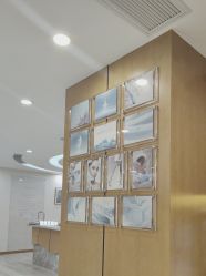 -智美品质医美