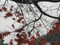 -四明山国家森林公园