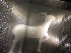 iphone_upload_pic-新兴·金羊座·粤菜点心(乐峰店)