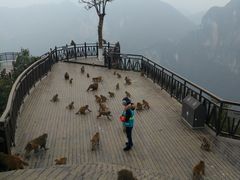-重庆云阳龙缸景区