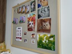 -柯达靓之彩影像网络(明瓦廊店)