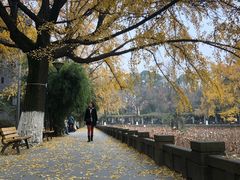 -四川大学(华西校区)