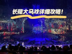 -广州长隆国际大马戏