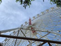 -青城公园