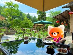 -悠然山高山湿地景区悠然自得庭